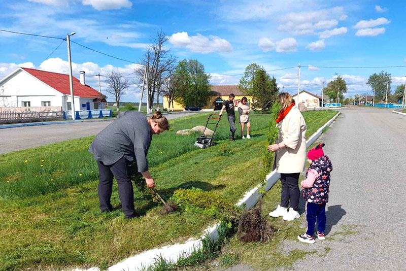 Мозырский сельсовет