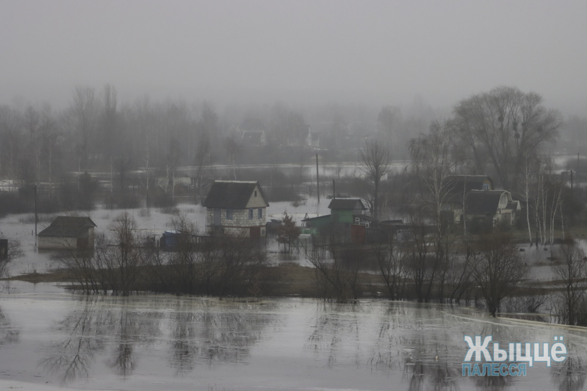 Уровень воды в Припяти приближается к критической отметке. Что делать  мозырянам, если к даче подбирается большая вода - Жыцце Палесся