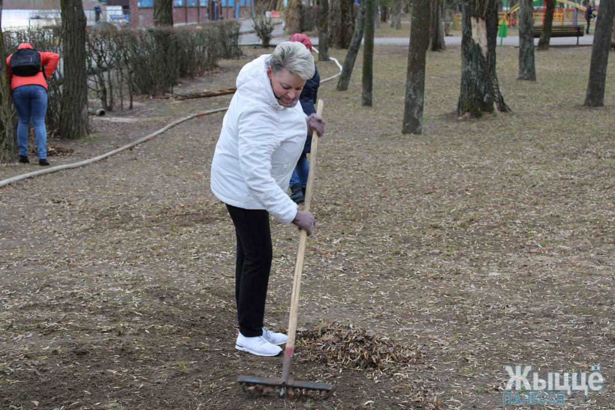 Специалисты отдела образования Мозырского райисполкома привели в порядок  территорию городского парка культуры и отдыха - Жыцце Палесся