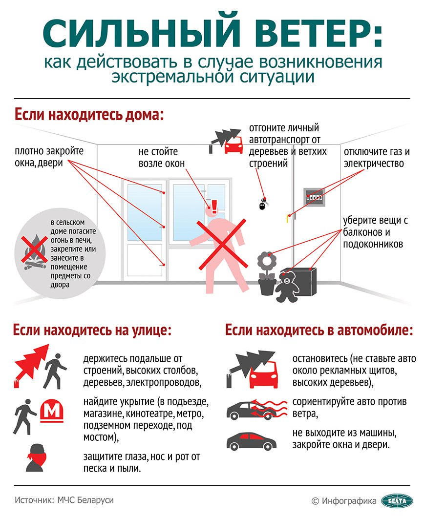 Как вести себя при сильном ветре? Советы от МЧС - Жыцце Палесся