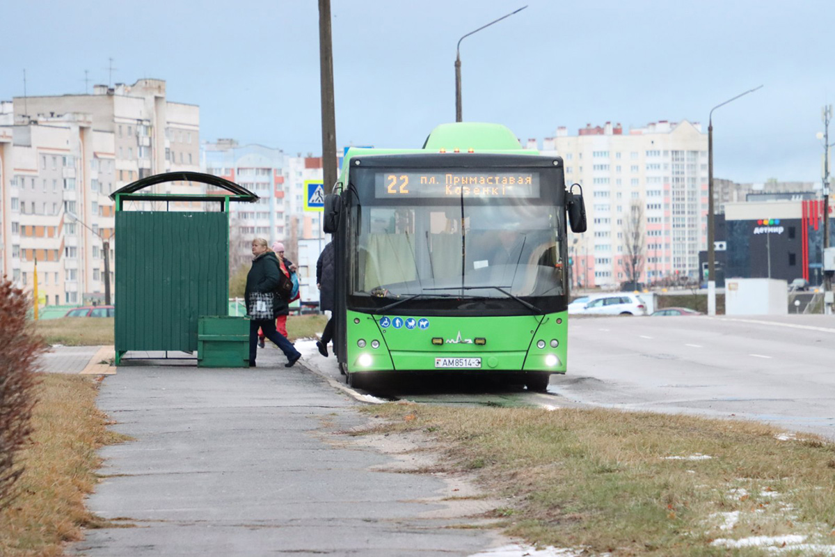 Мозырь (Гомельская область): автовокзалы и автостанции