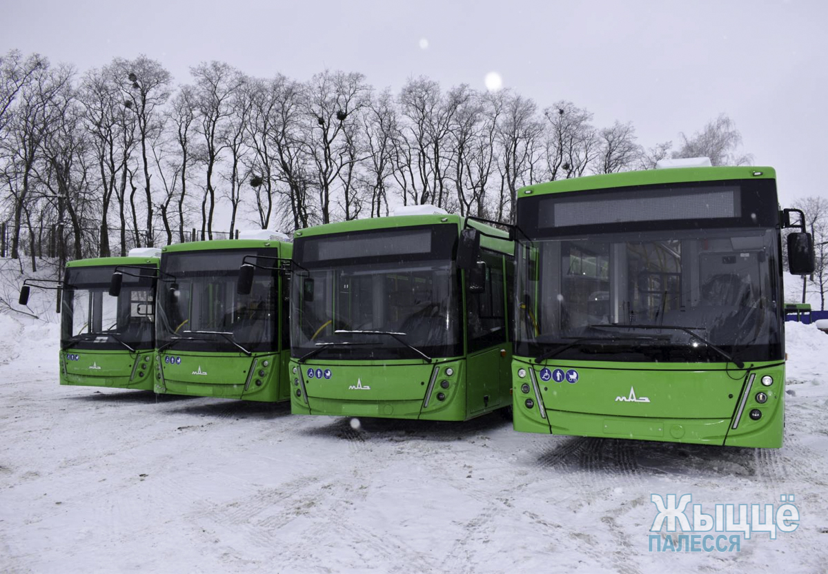 С пополнением! Новые автобусы были закуплены для мозырского АП-2 - Жыцце  Палесся