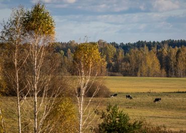 Ветрено и без обильных осадков. Синоптики рассказали, какая ожидается погода на будущей неделе